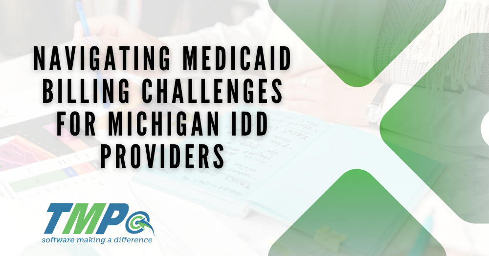 Michigan IDD Providers